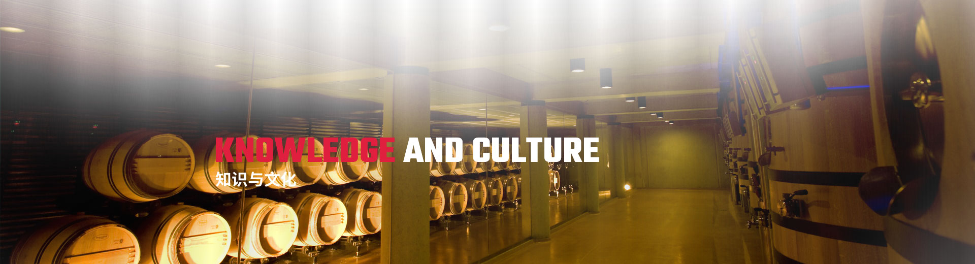 知識與文化(huà)(huà)